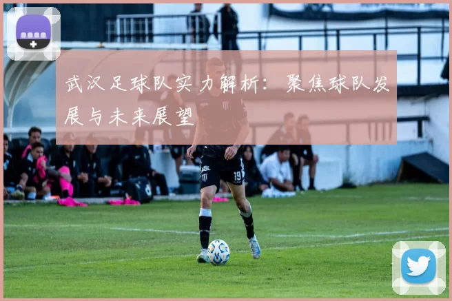 武汉足球队实力解析：聚焦球队发展与未来展望